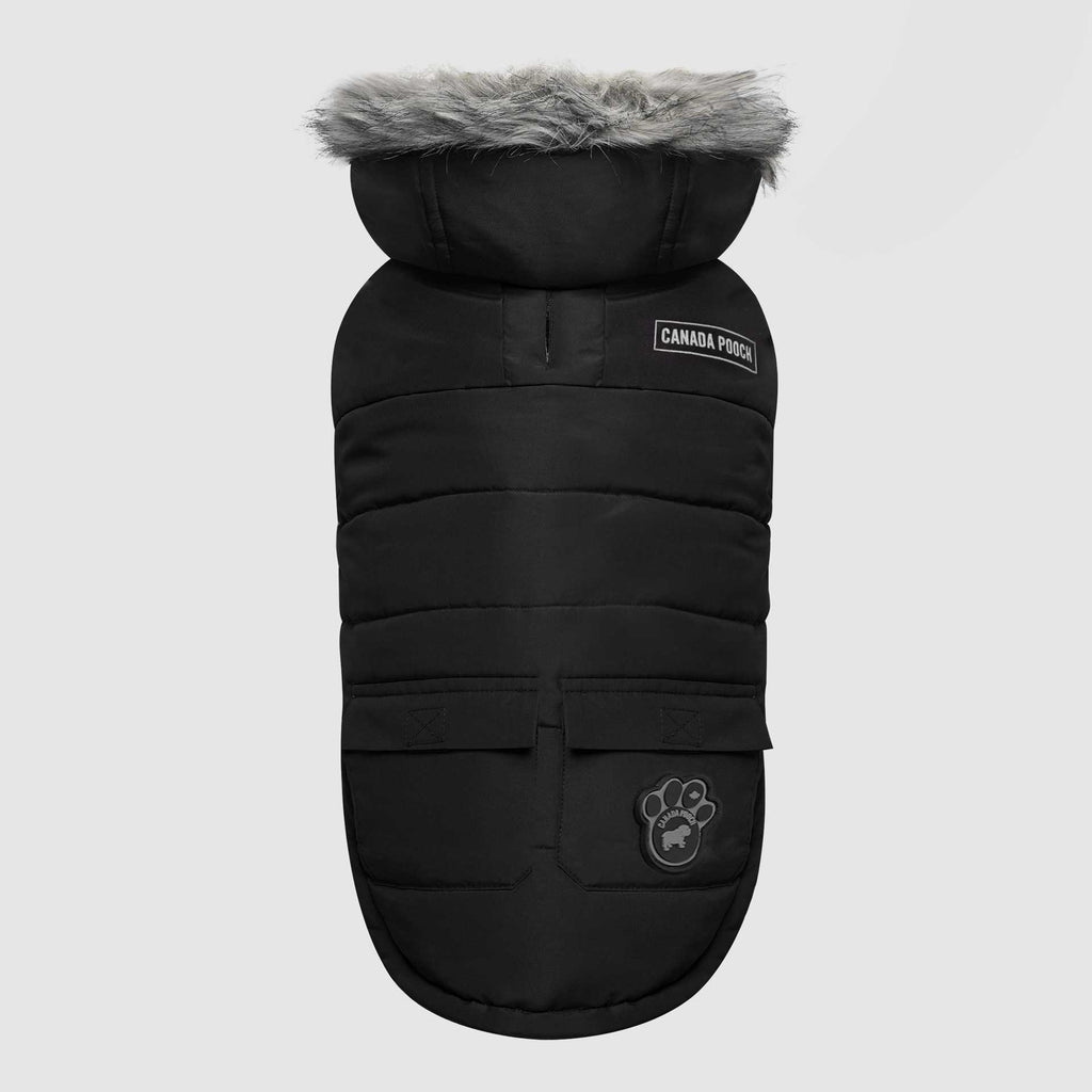 True North Parka G2