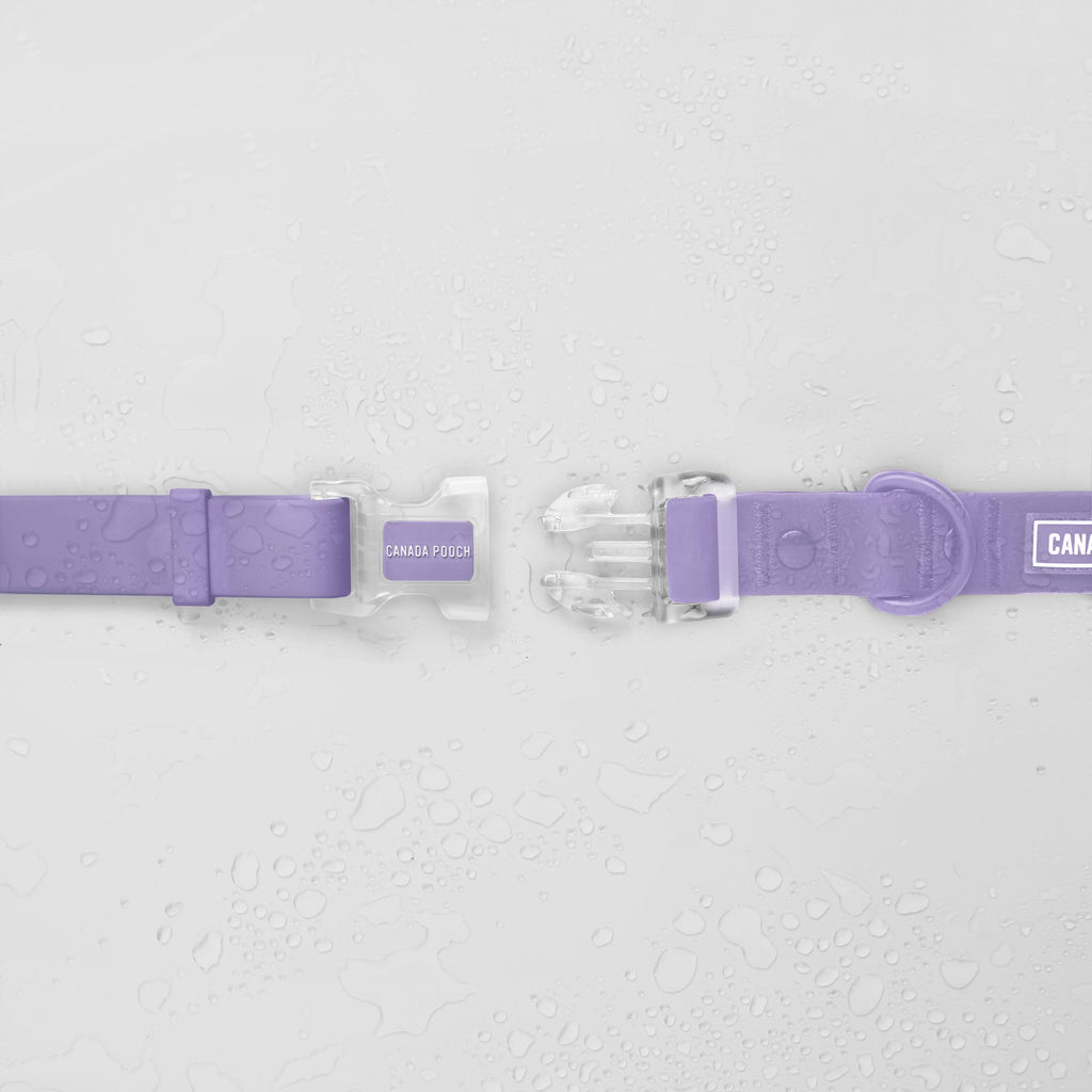 Waterproof Collar