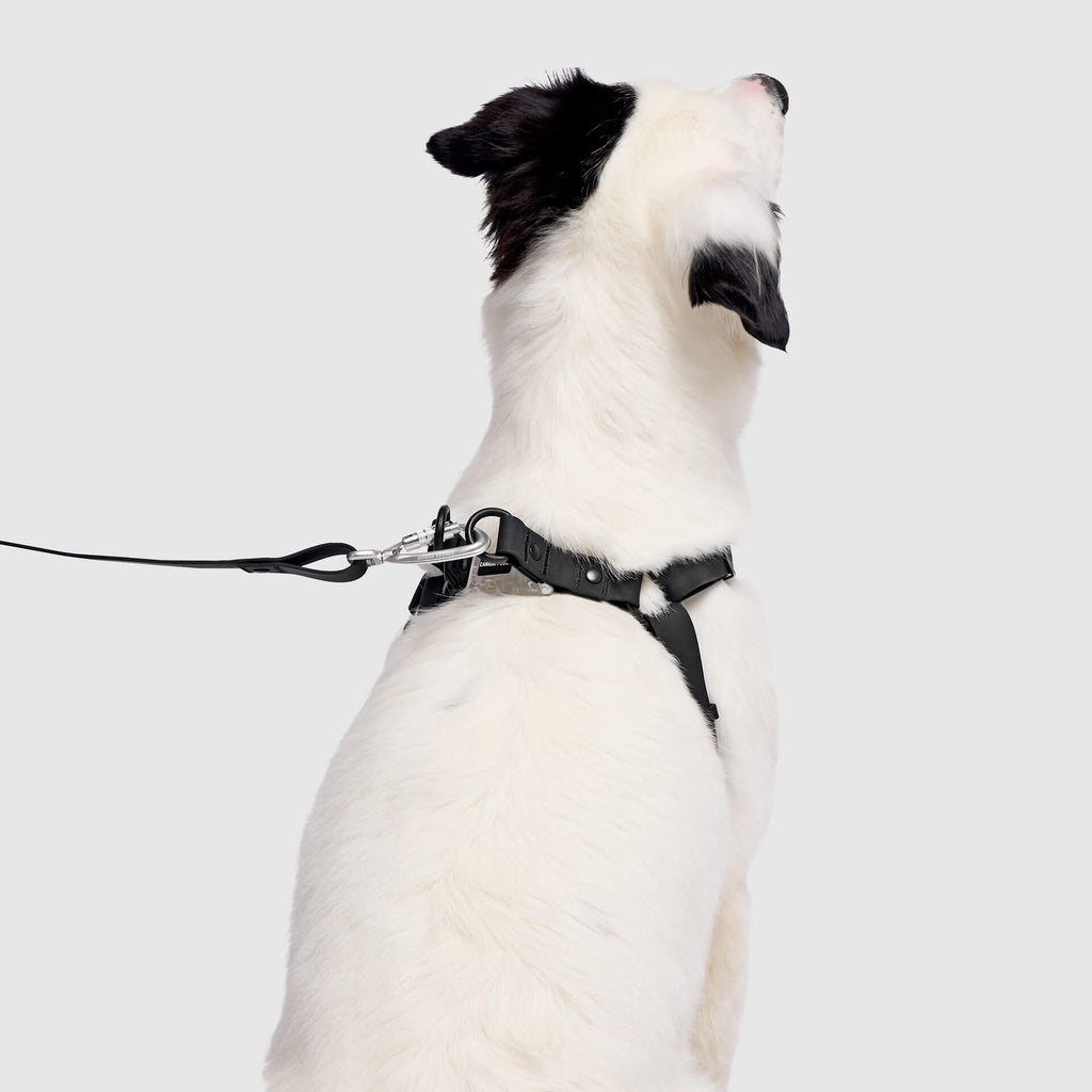 Waterproof Harness