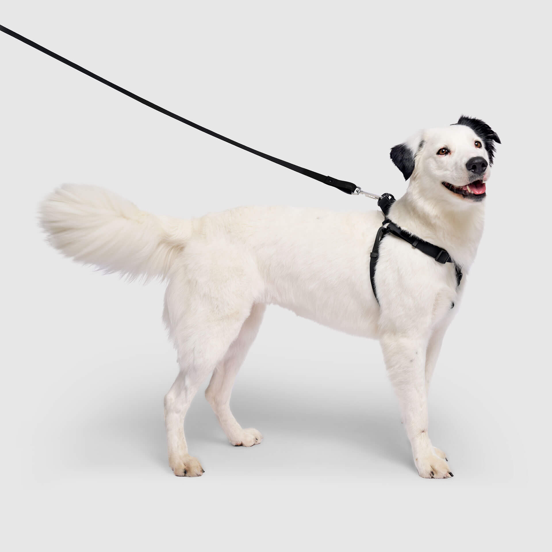 Waterproof Harness