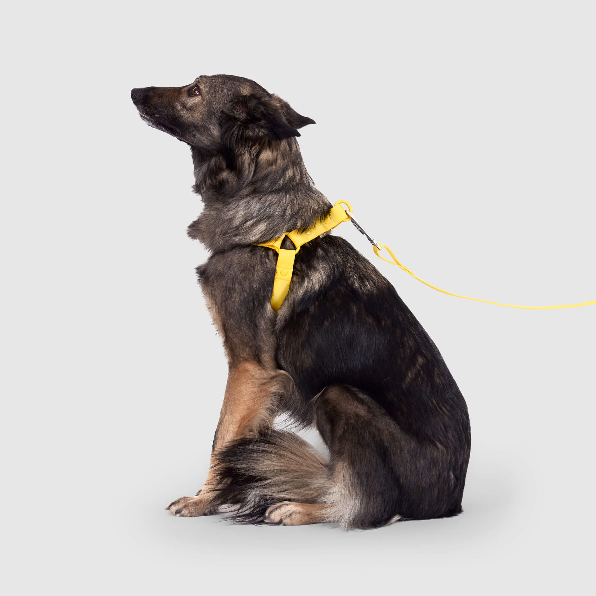 Waterproof Harness