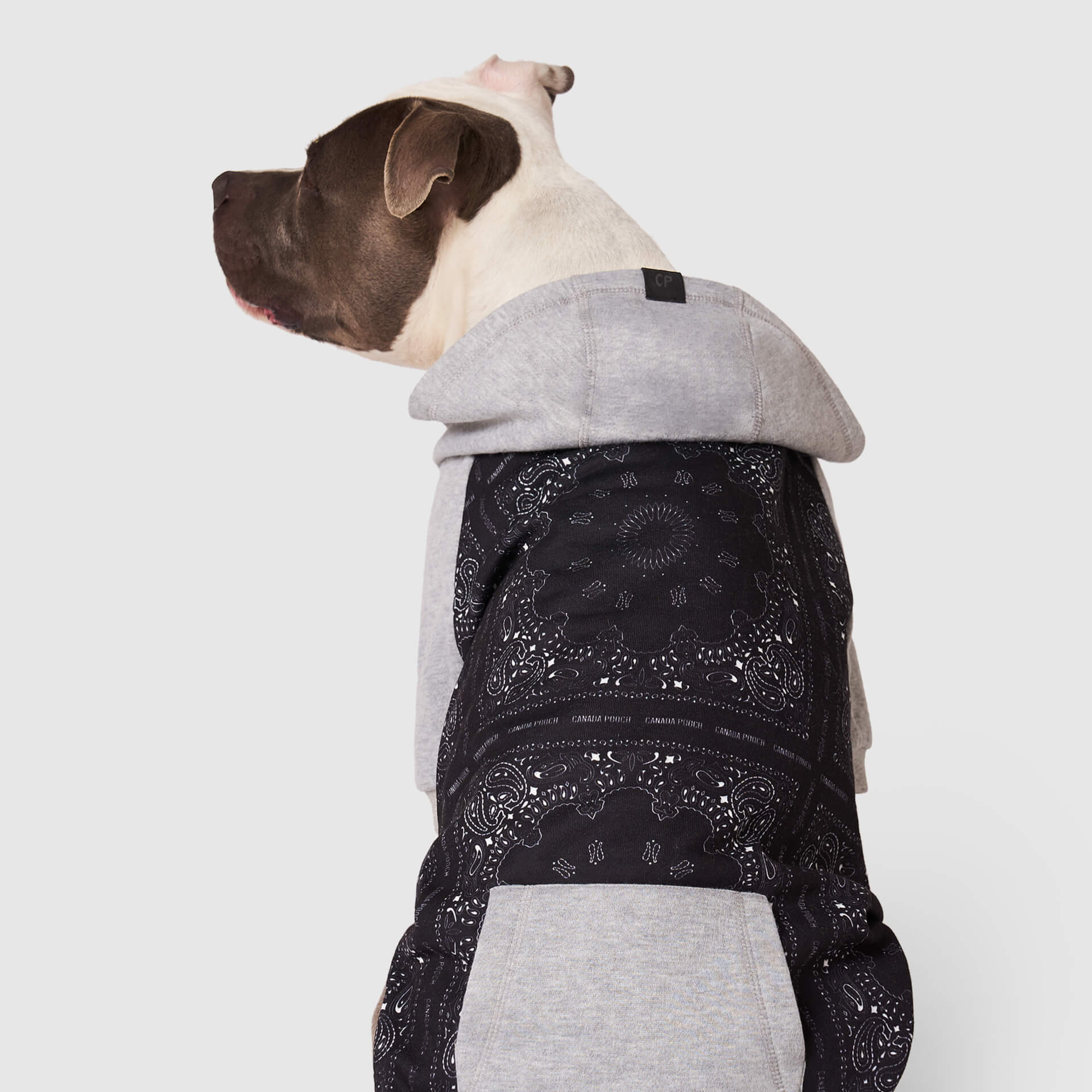 Whatever The Weather Hoodie